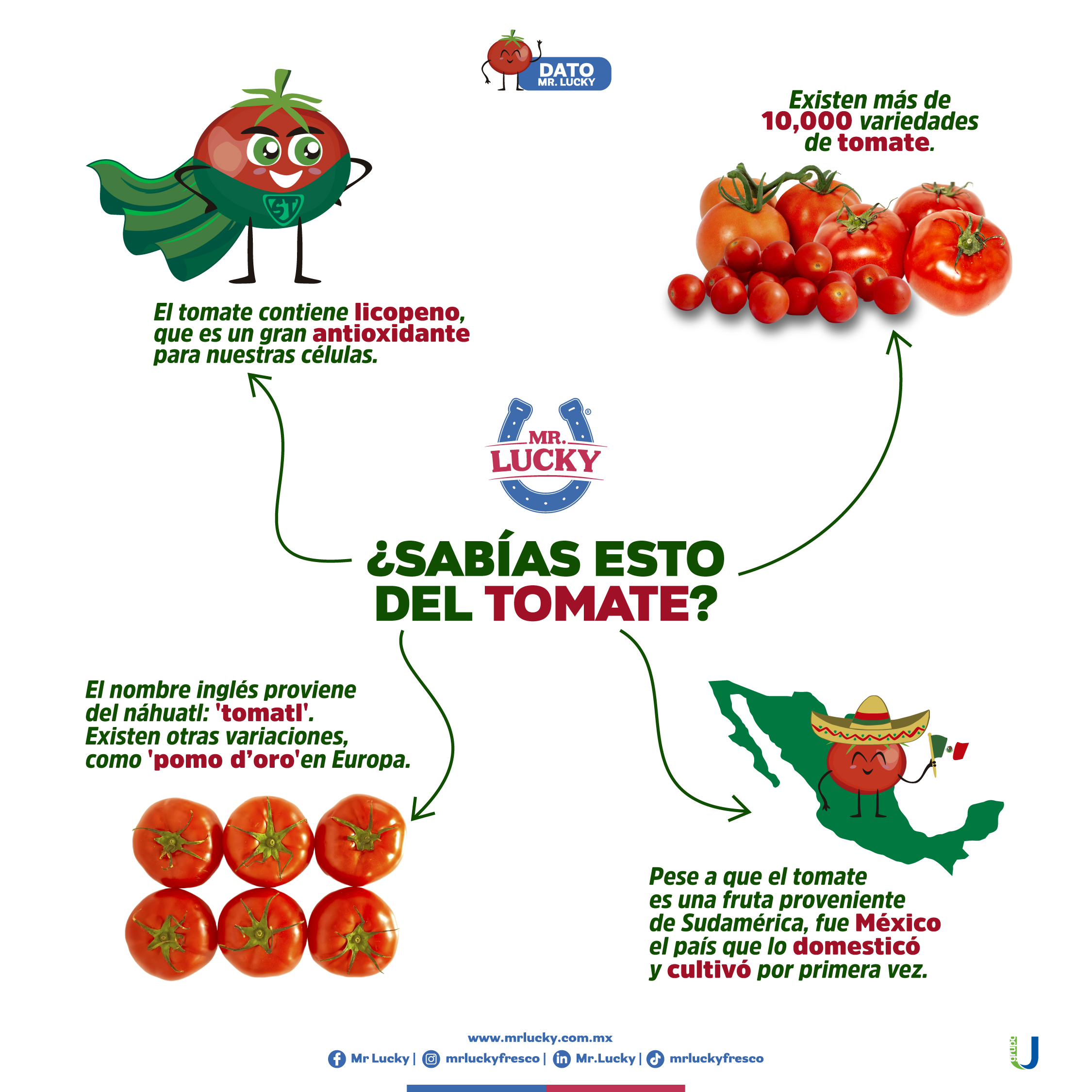 ¿Sabías esto del tomate?